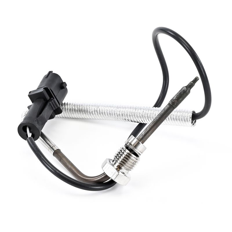 DELPHI TS30237-12B1 Sensor eksostemperatur Fiat Panda 169 1.3 JTD Multijet 4x4 (169AXG1A, 169AXG2A) 75 hk 169 A1.000
