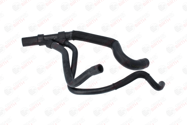 BIRTH 54594 Radiator hose Renault Scenic 1 1.9 dTi 80 hp F9Q 744