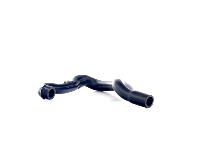 RAPRO R31181 Fasce elastiche T5 260 CV B 5244 T5