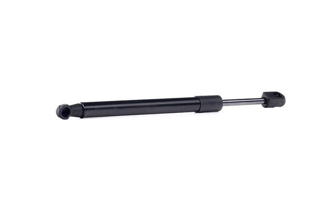 RIDEX 219G0983 Bakluke demper Audi A6 C6 2.0 TDI 140 hk BRE