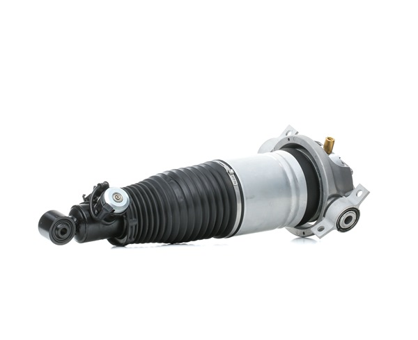 RIDEX 4118A0086 Blattfeder 4.2 quattro 314PS 2009