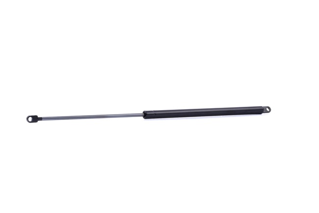 RIDEX 219G0985 Αμορτισέρ καπώ 0.7 34 PS V06 644
