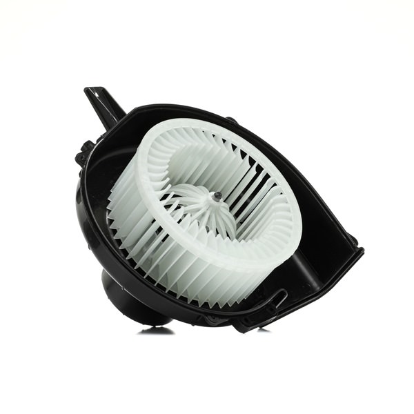 RIDEX 2669I0226 Ventola abitacolo Audi A1 8x S1 2.0 quattro 231 CV CWZA