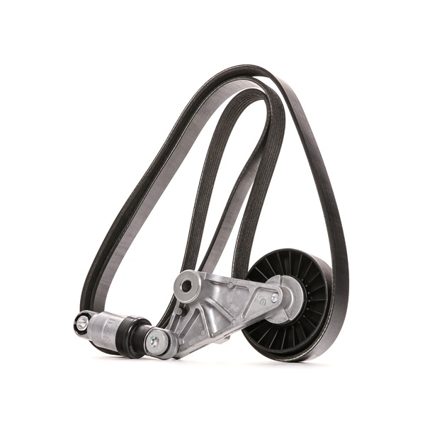 RIDEX 542R0625 Jogo de correias trapezoidais estriadas Opel Omega B Sedan 2.0 DTI 16V (F69, M69, P69) 101 cv X 20 DTH