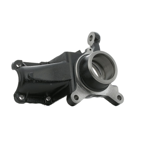FIAT STARK Achszapfen SKSAW-2370092