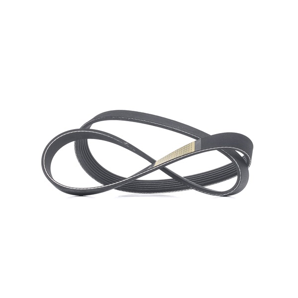 Köp billigt 305P0494 Generatorrem 986mm, Ribbantal: 6 från RIDEX 11287603348