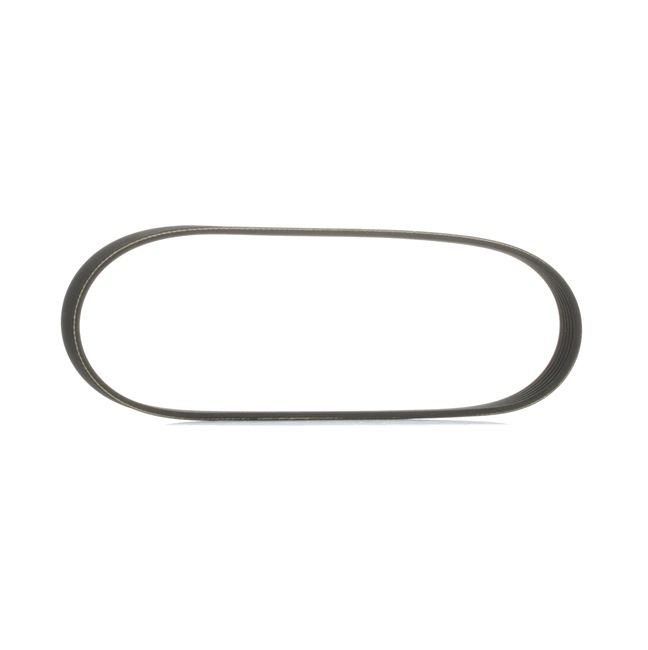 DS RIDEX Ιμάντας δυναμό 305P0495