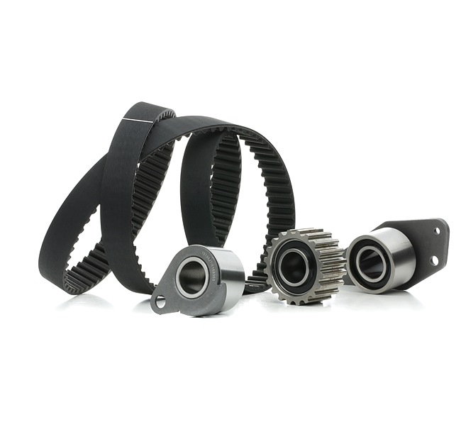 RIDEX 307T0395 Kit de correia de distribuição Renault Scenic 1 1.9 D (JA0J, FA0J) 64 cv F8Q 788