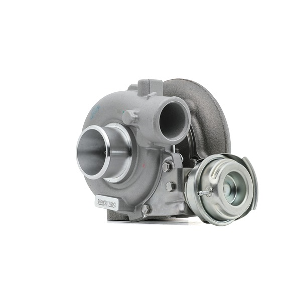 RIDEX 2234C10527 Uitlaat 2.8 CRD 150 Pk ENR