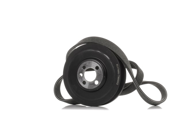 STARK SKRBS-1200647 Correia do alternador VW T5 Camião de plataforma 1.9 TDI 102 cv BRS