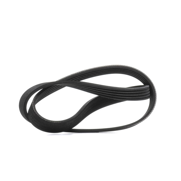 VW RIDEX Poly-V-riem 305P0503