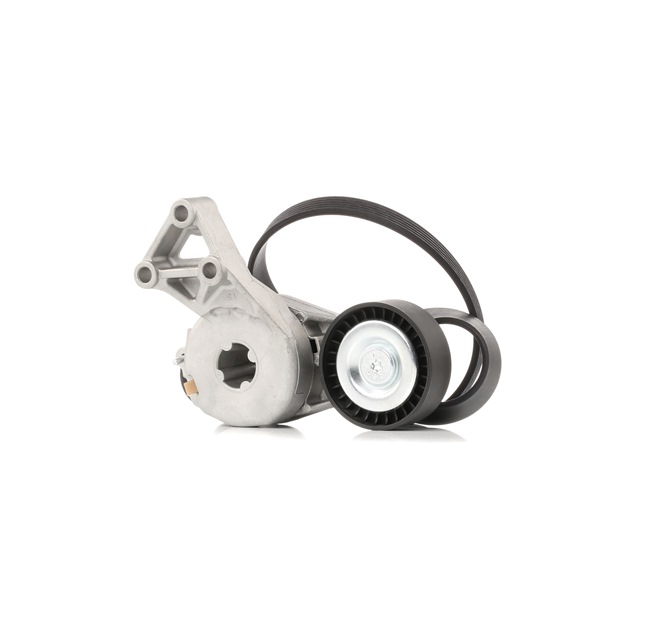 VW STARK Poly v riem set SKRBS-1200648