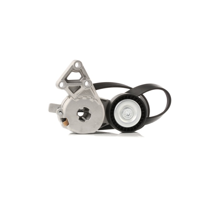 Comprar baratas 542R0649 Kit de correias trapezoidais estriadas de RIDEX 06A903315E, 06F903137E, 06A903315D