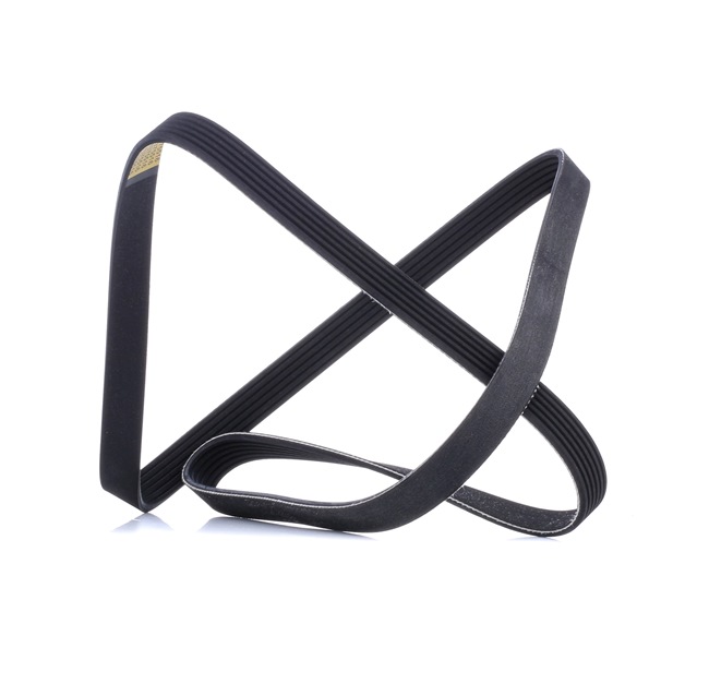 RIDEX 305P0508 Τεντωτηρας ιμαντα 2.0 EcoBlue Πίσω μετάδοση κίνησης 180 PS