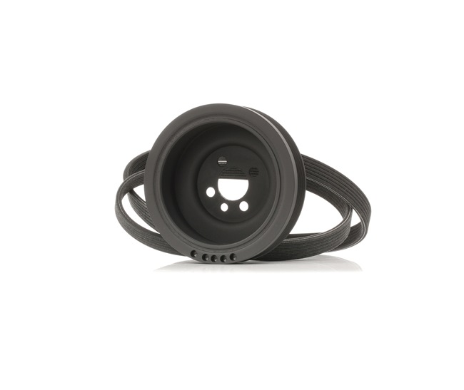 RIDEX Zestaw paska wielorowkowego 542R0661