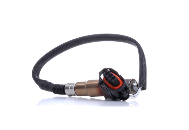 RIDEX 3922L0616 Escudo térmico do escape 3.2 V6 (F69, M69, P69) 218 cv Y 32 SE