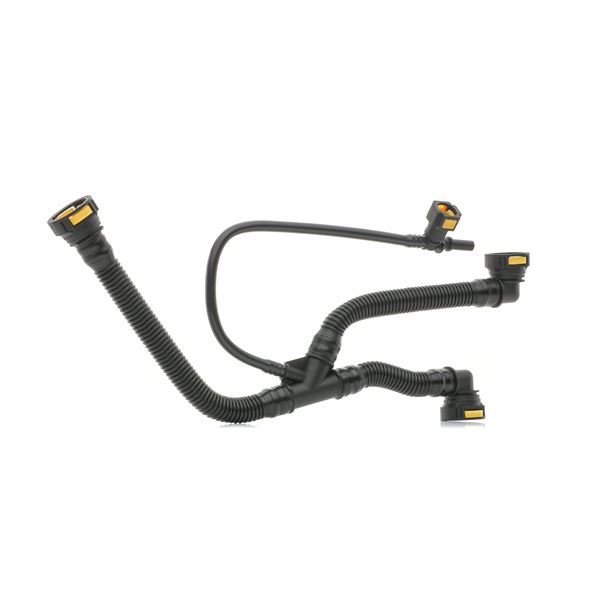 PEUGEOT RIDEX Ventil Veivhusventilasjon 1600H16000043