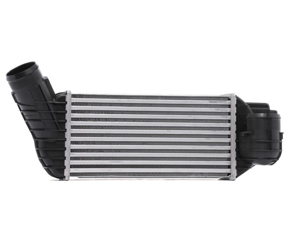 RIDEX 468I0381 Intercooler DS DS4 / DS4 Crossback 2.0 BlueHDi 180 180 CV AHW (DW10FC)