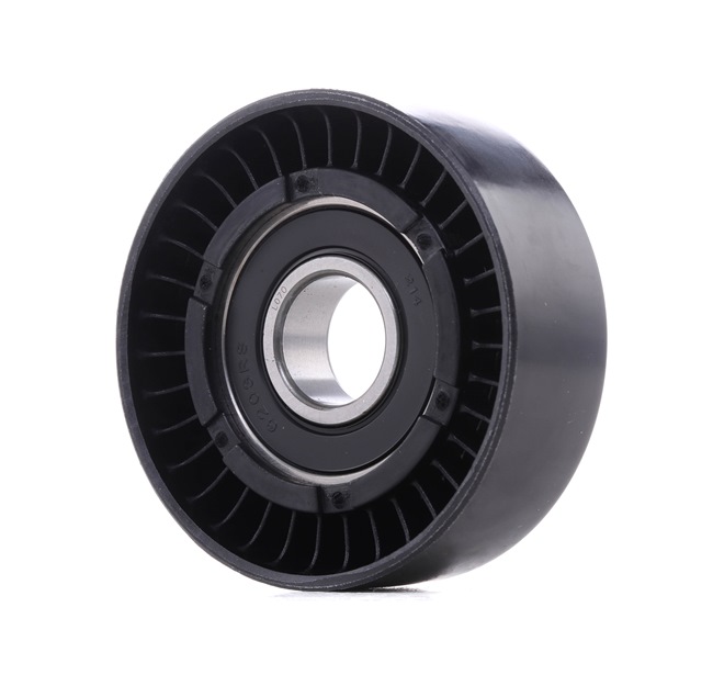 310T0482 Poulie, tendeur de courroie d'accessoire RIDEX Kia prix