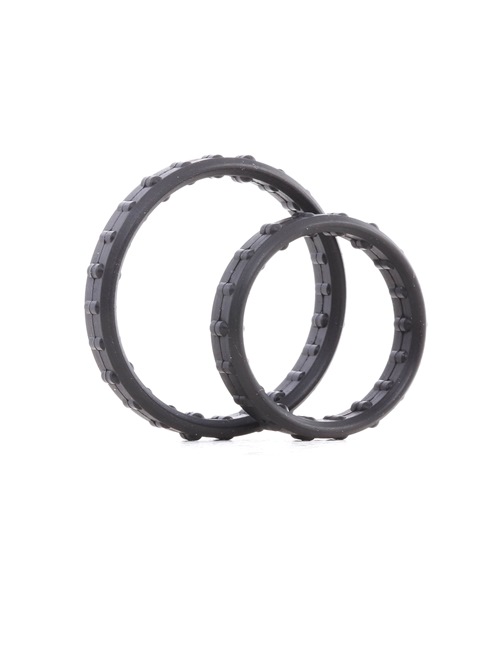 ELRING 803.630 Junta tecto de abrir 2.0 212 cv B207R