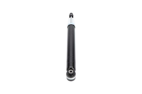 KAVO PARTS SSA-10348 Molas de suspensão 1.6 SRE 110 cv DWYA