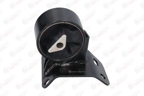 BIRTH 53444 Fasce elastiche 4.0 4x4 193 CV ERH