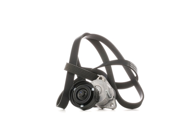 RIDEX 542R0671 Tensor de cadena de distribución 2.4 LPG 4x4 140 cv Z 24 XE