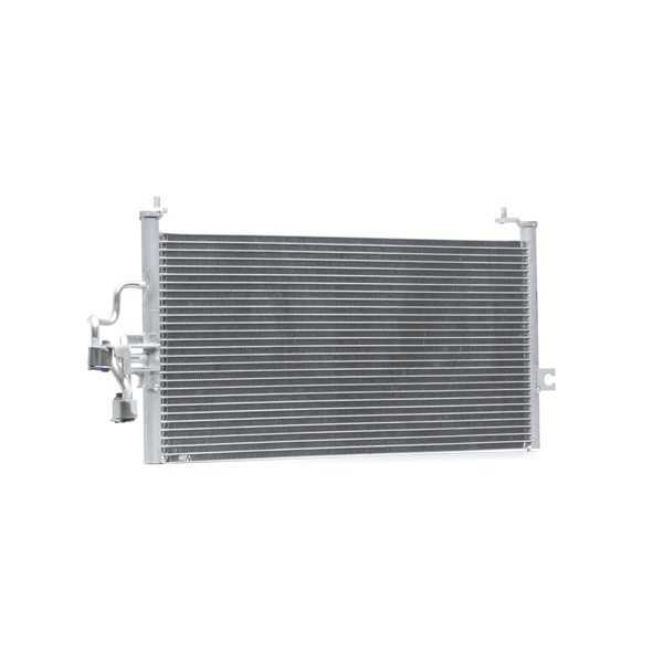 RIDEX 448C0469 Supapa expansiune clima 1.6 16V 113 CP 4G92 (SOHC 16V)