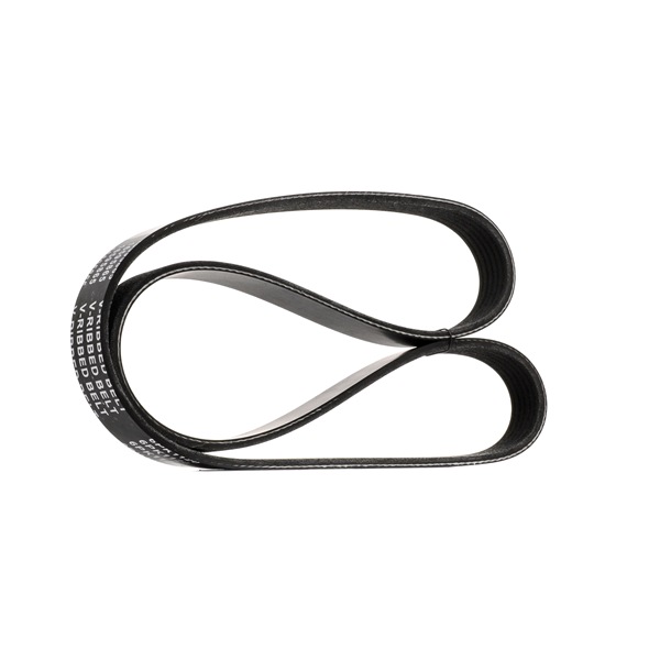 STARK SKPB-0090396 Correia do alternador VW EOS 1f7 2.0 TSI 210 cv CCZB