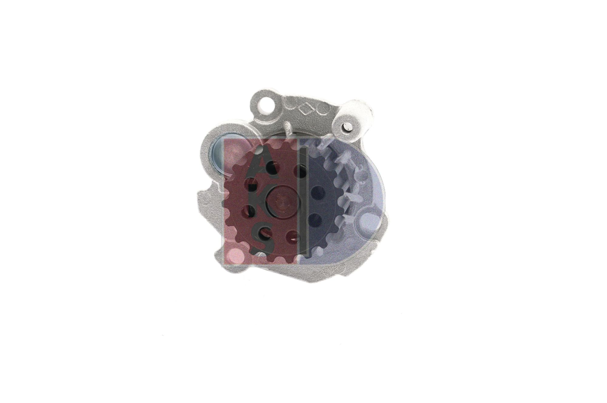 AKS DASIS 570059N Wasserpumpe Passat B6 Variant 2.0 TDI 140 PS BMP