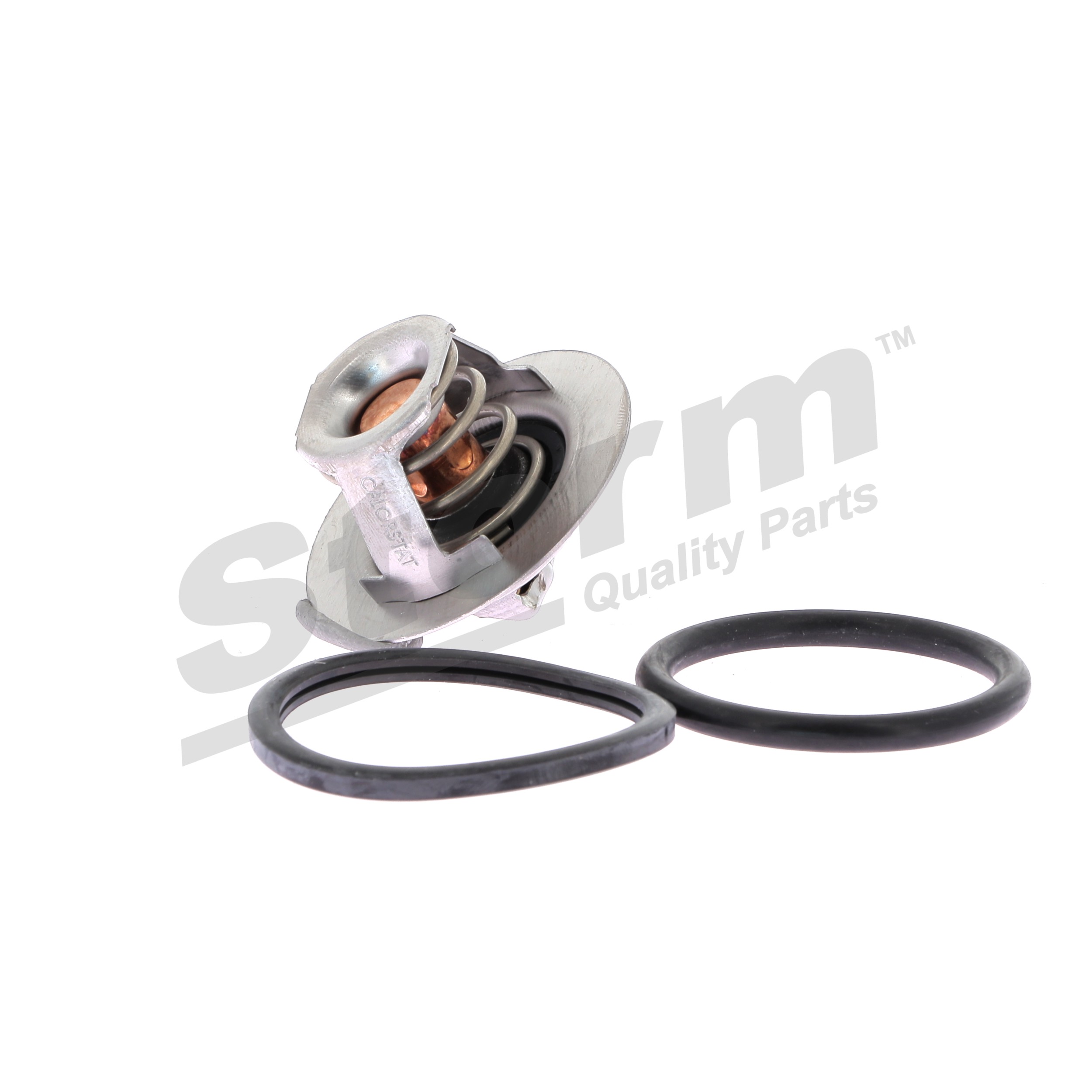 STORM QUALITY PARTS 199024 Thermostat Renault Megane Scenic 1.9 dT (JA0Y) 94 hp F8Q 784