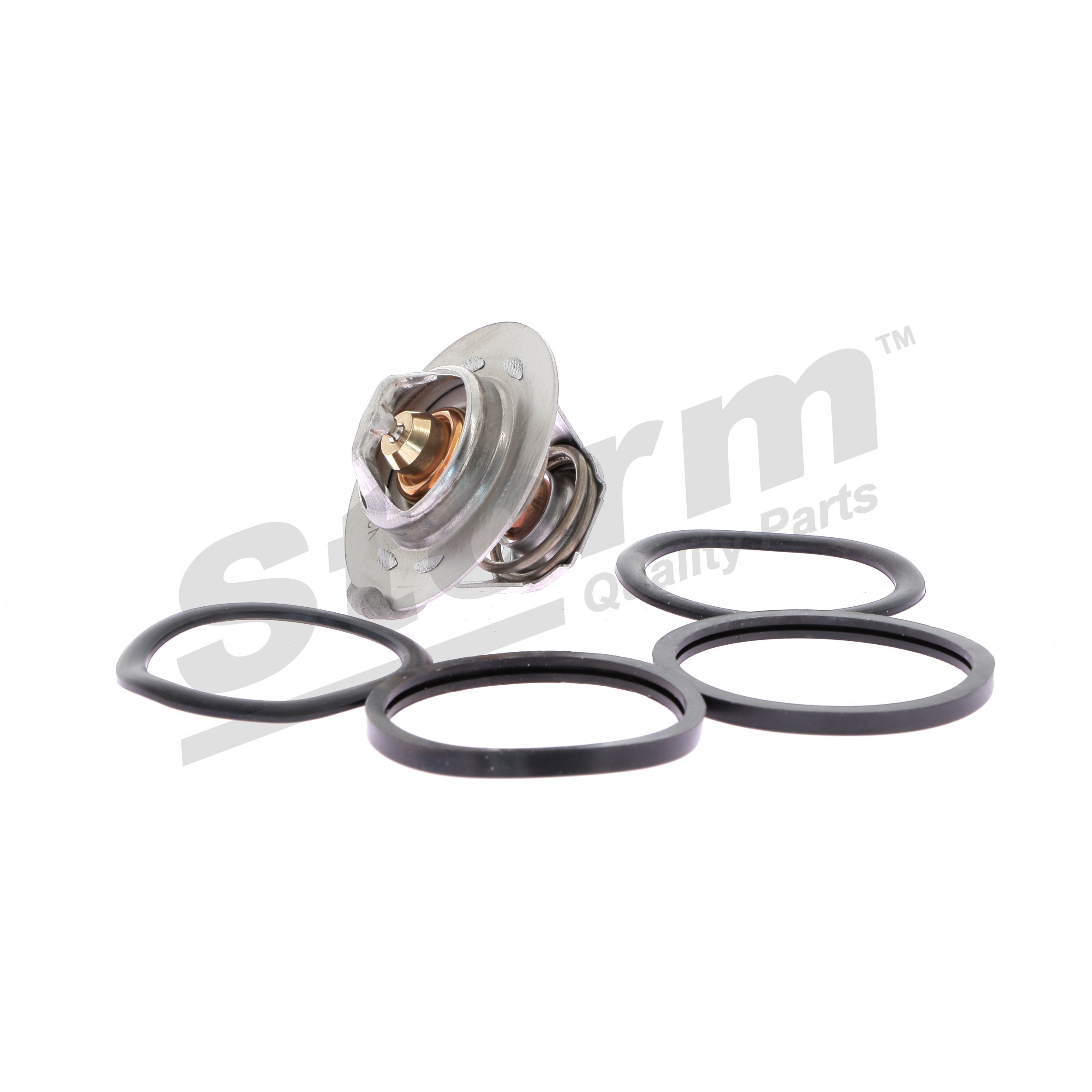 STORM QUALITY PARTS 199026 Termostat Renault Megane Scenic 2.0 i (JA02, JA0G) 109 hk F3R 796