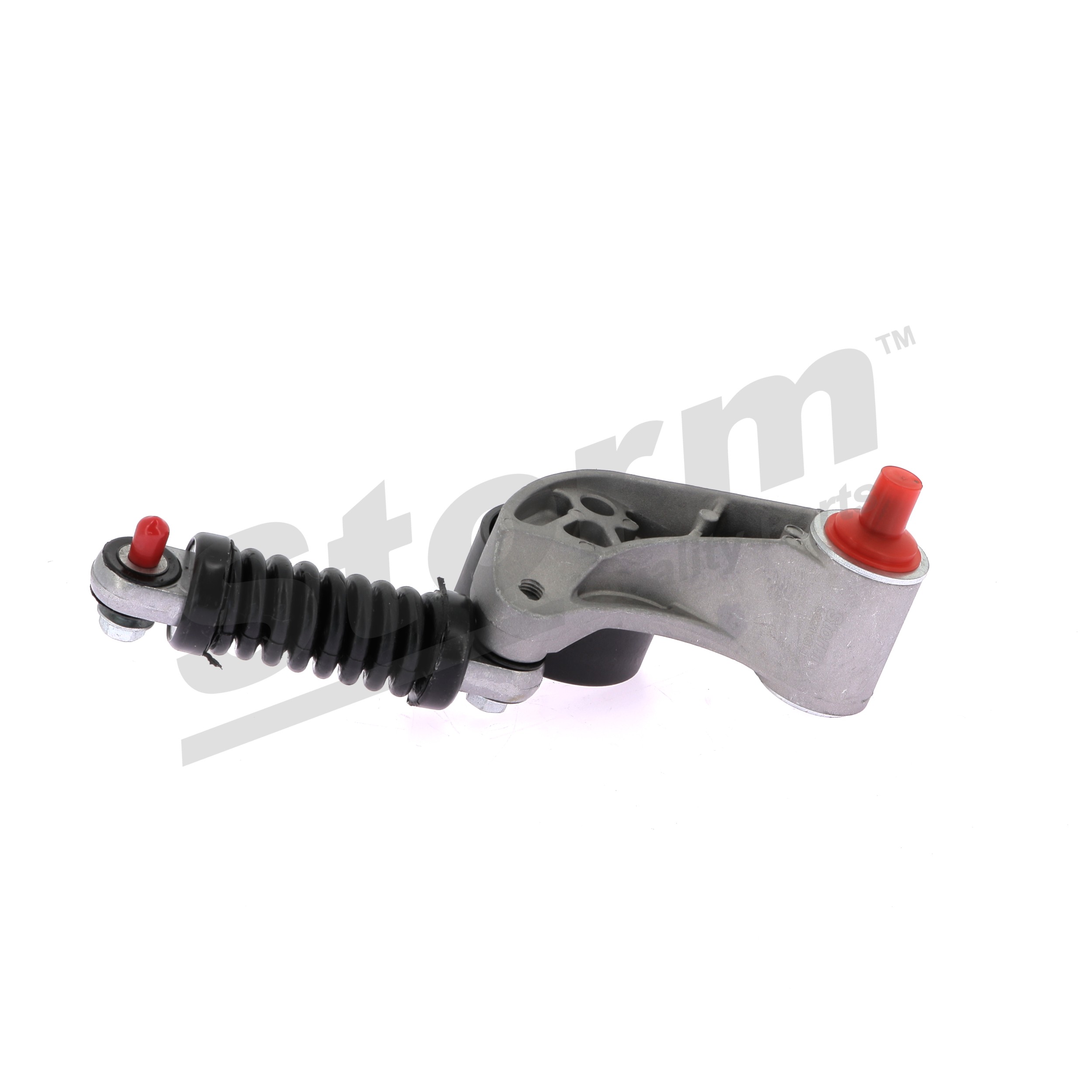 STORM QUALITY PARTS 88028 Polea tensora Renault Megane Scenic 1.9 dT (JA0Y) 94 cv F8Q 784