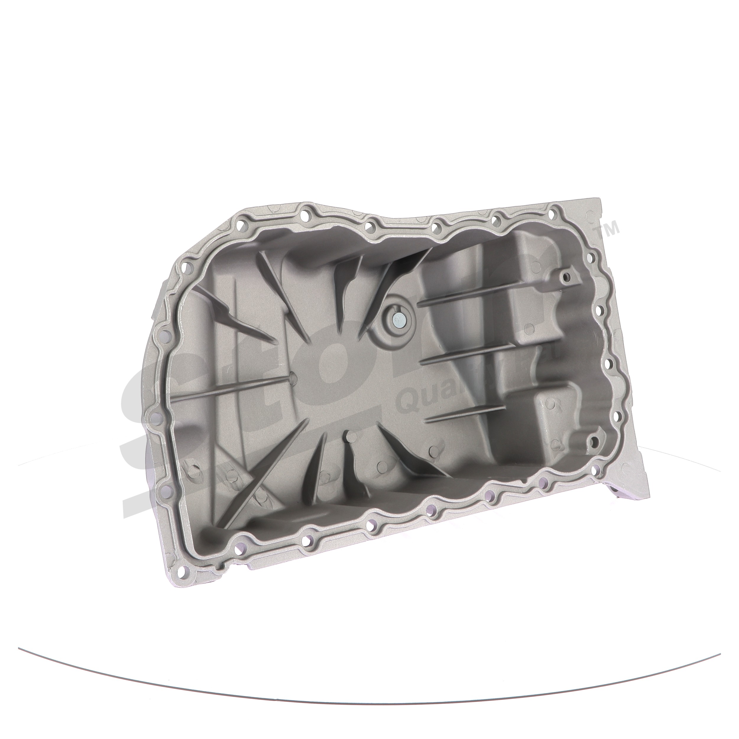 STORM QUALITY PARTS 999006 Cárter de aceite Renault Megane Scenic 1.9 dT 90 cv F8Q 784