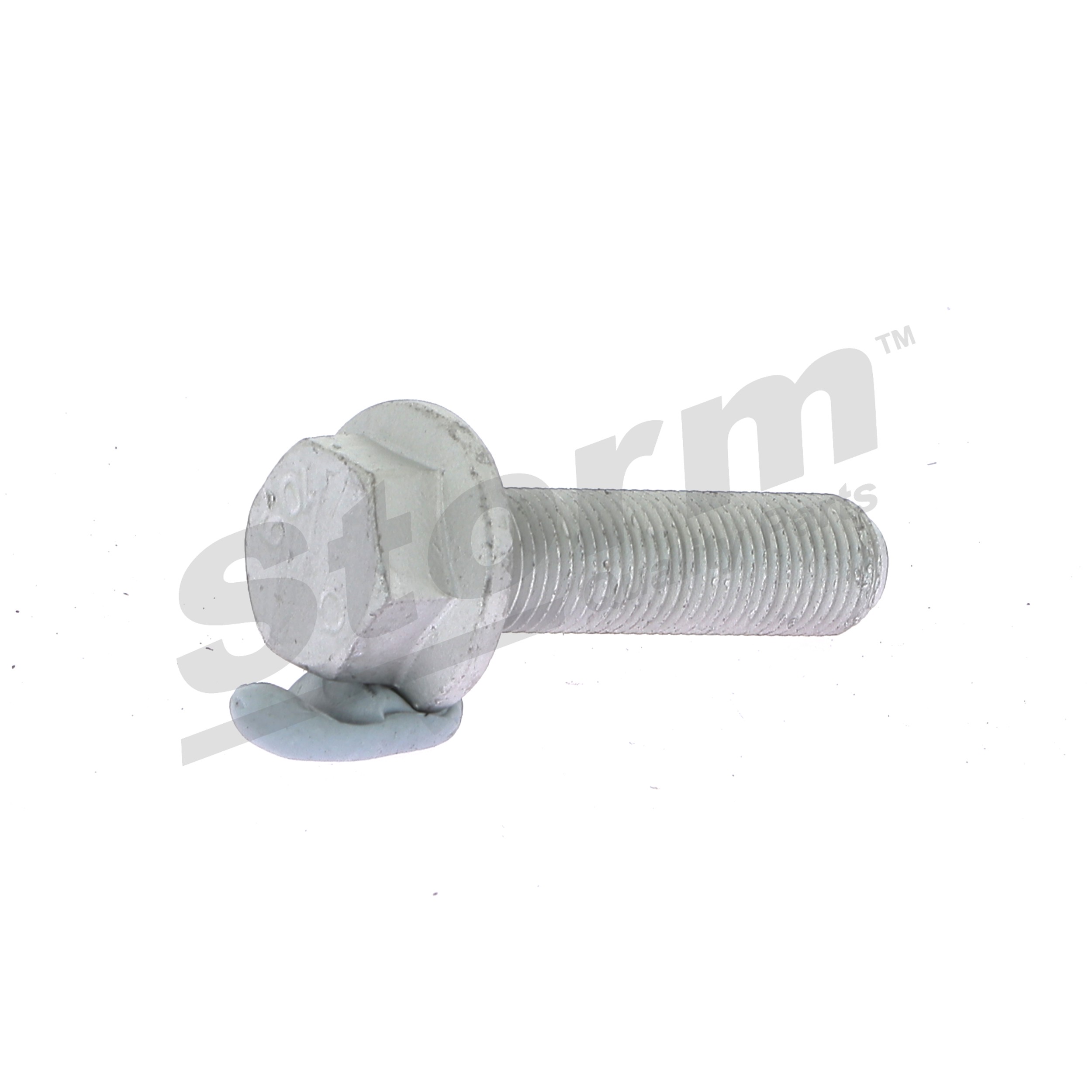 STORM QUALITY PARTS 99995KIT Fulie curea, arbore cotit Renault Megane Scenic 1.9 dT (JA0K, JA0Y) 90 CP