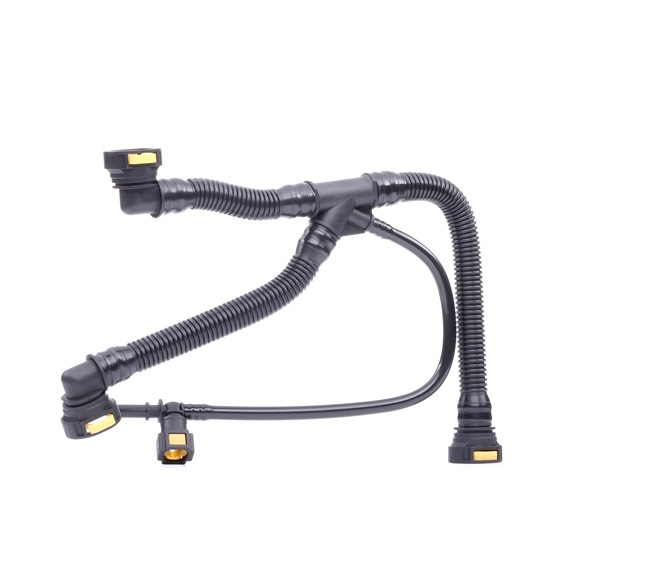 ENGITECH ENT120135 Carter de distribution 1.6 110CV 2011