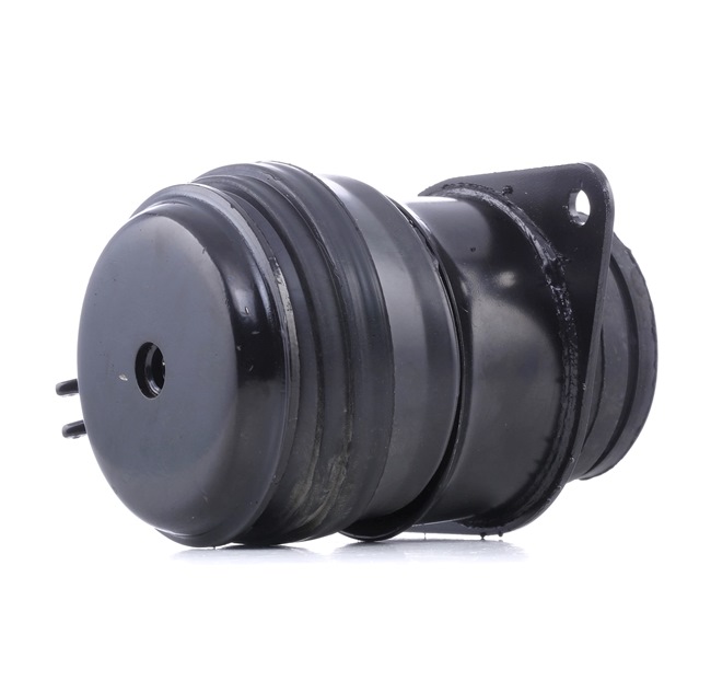 REINHOCH RH11-0107 Vevaxel 1.9 D 65 hk 1Y