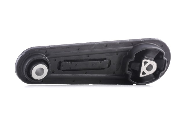 REINHOCH RH11-2078 Fasce elastiche 1.6 107 CV