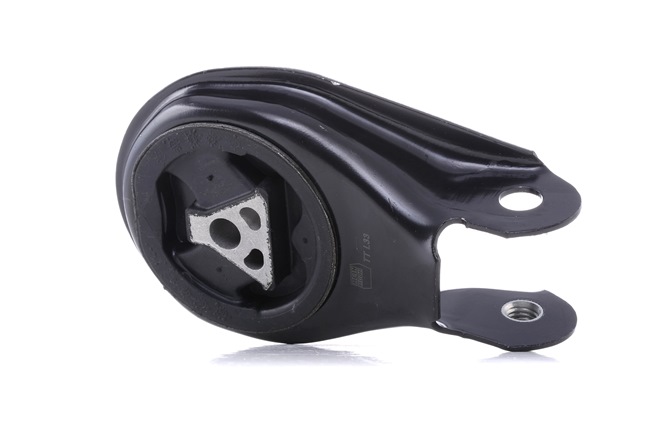 cumpar ieftine RH11-4000 Suport motor spate de la REINHOCH 1224049, 1404996