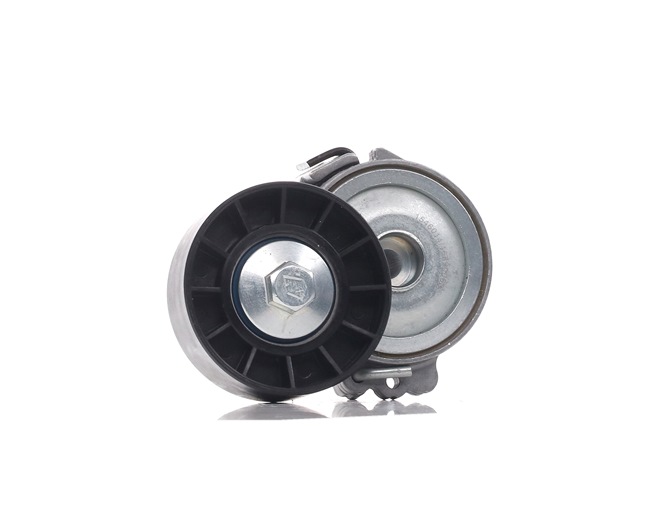 αγορά φθηνά 310T0510 Τεντωτήρας, ιμάντας poly-V από RIDEX 1231958, 1253954, 1305339