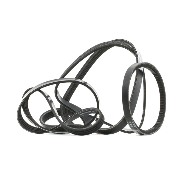 RIDEX 542R0694 Keilrippenriemensatz Passat 3B5 1.8 Syncro/4motion 125 PS ARG