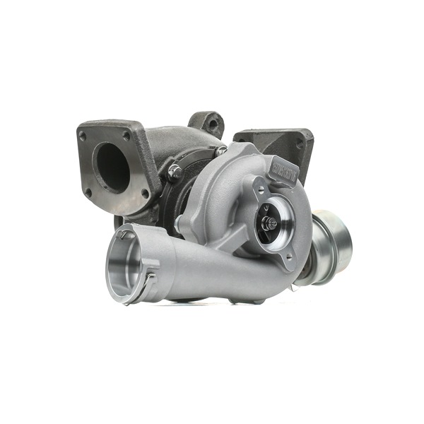 RIDEX 2234C10617 Turbó VW Multivan T5 2.5 TDI 130 LE
