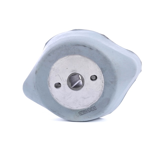 249M0171 RIDEX Suspensión, caja de cambios precio