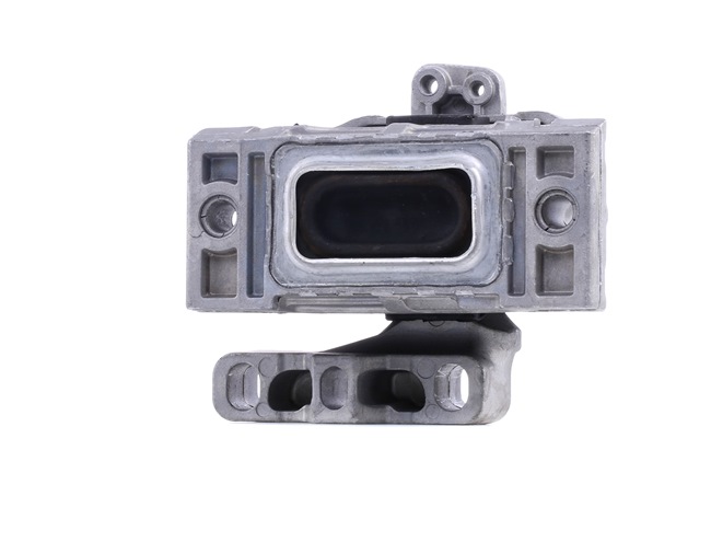 RIDEX 247E0734 Supporto motore VW Bora 1j2 1.6 102 CV BFQ