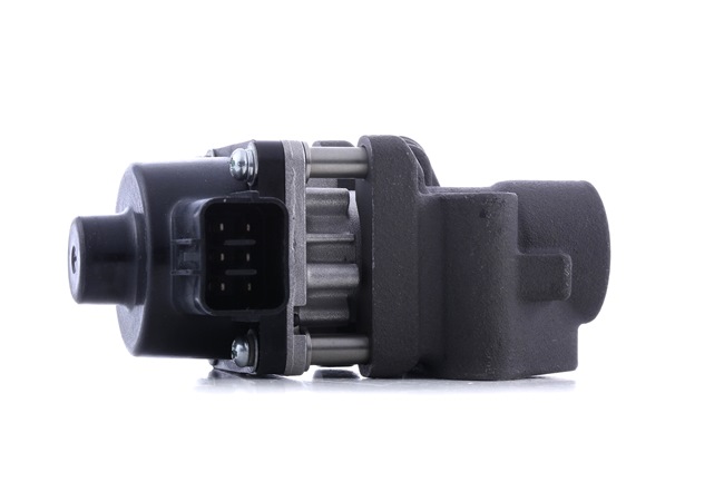 RIDEX 4198E0102 Válvula EGR SUZUKI Swift III Hatchback (MZ, EZ) 1.3 (RS 413, ZC11S) 92 cv M13A