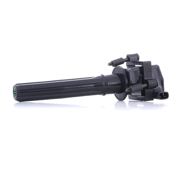 RIDEX 689C0422 Gløderør 2.7 VVT 192 HK EER
