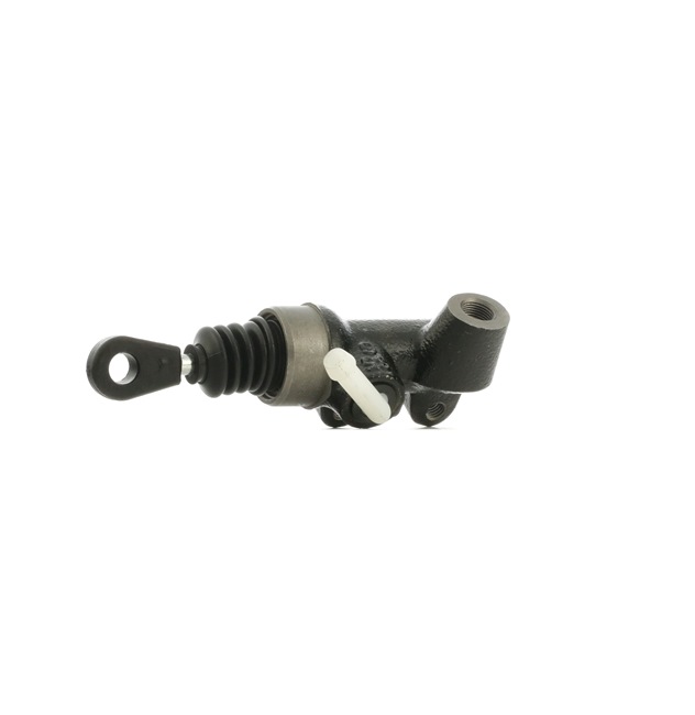 RIDEX 234M0225 Rolamento de guia embraiagem 1.8 67 cv PD