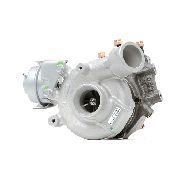 RIDEX REMAN 2234C10673R Kit d'assemblage silencieux 2.2 DI-D 177CV 2009
