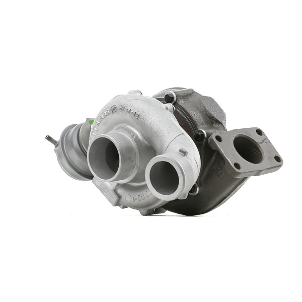RIDEX REMAN 2234C0364R Turbo Passat 3B6 2.5 TDI 163 Pk BDG
