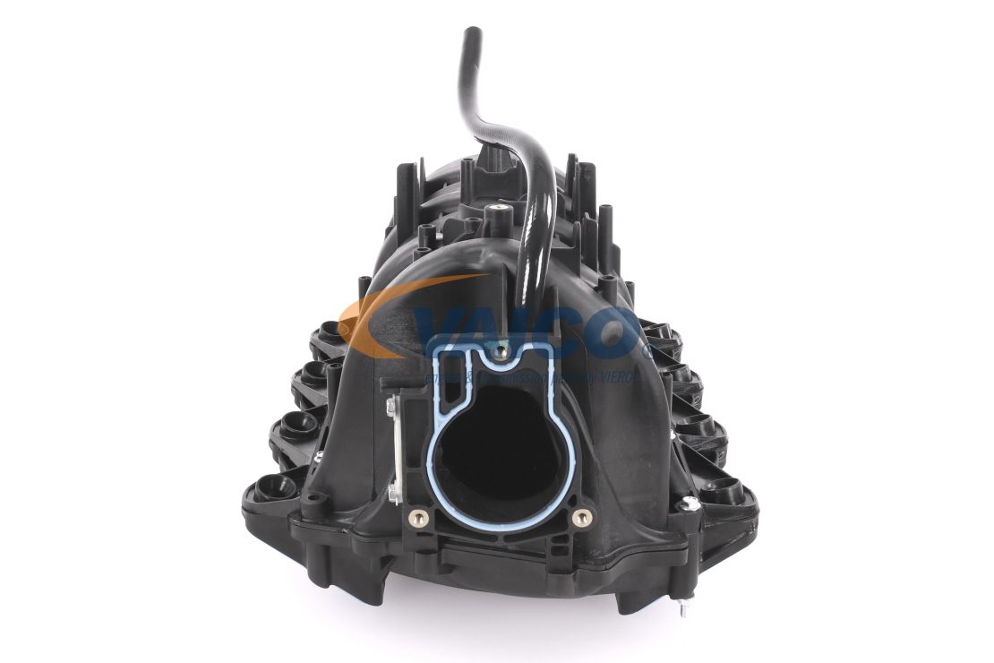 VAICO V51-0145 Fasce elastiche 5.3 290 CV LM7